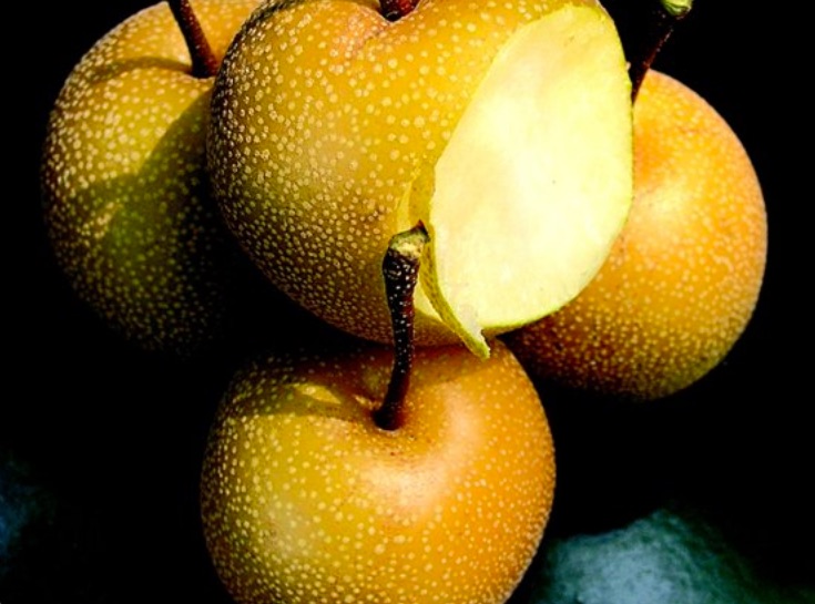 Piante da frutto antiche