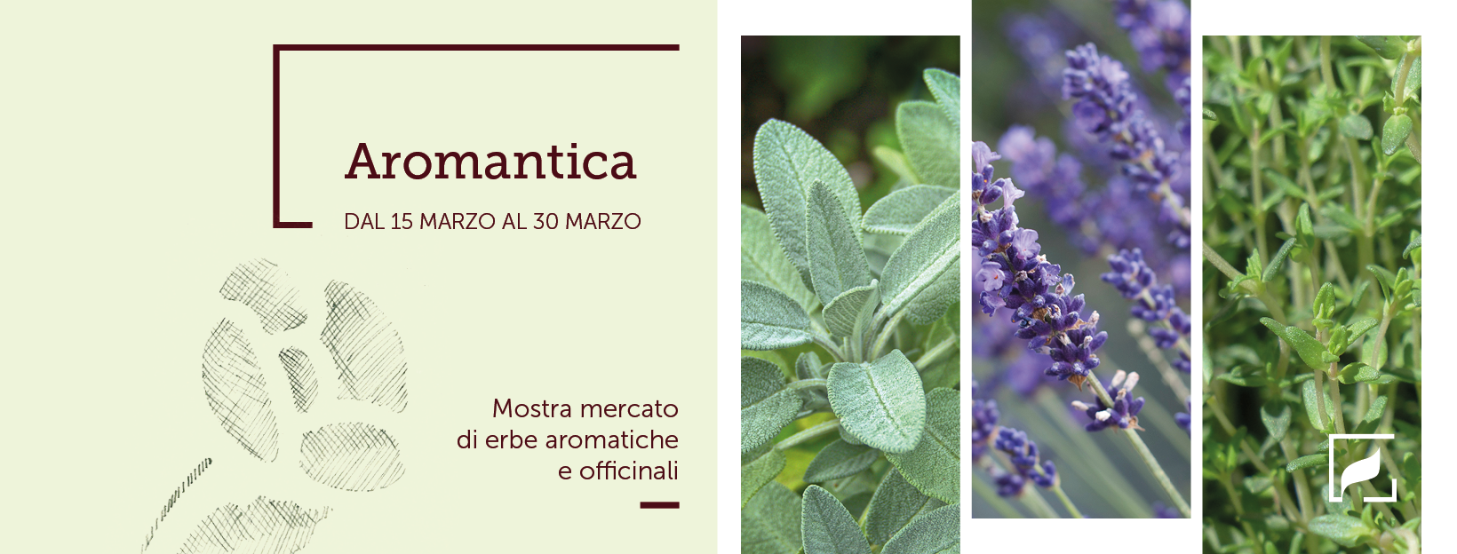 230314_AROMANTICA_COVER PAGINA