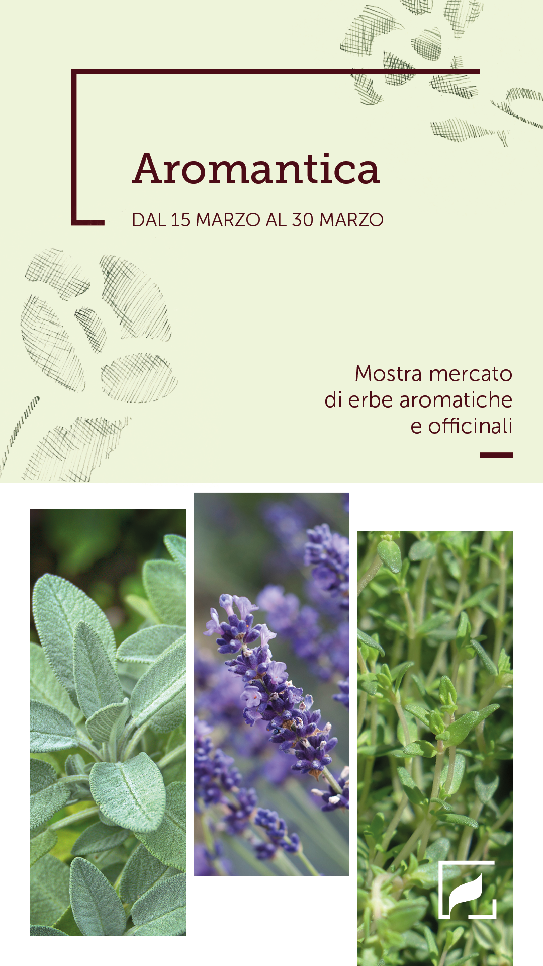 230314_AROMANTICA_STORIA