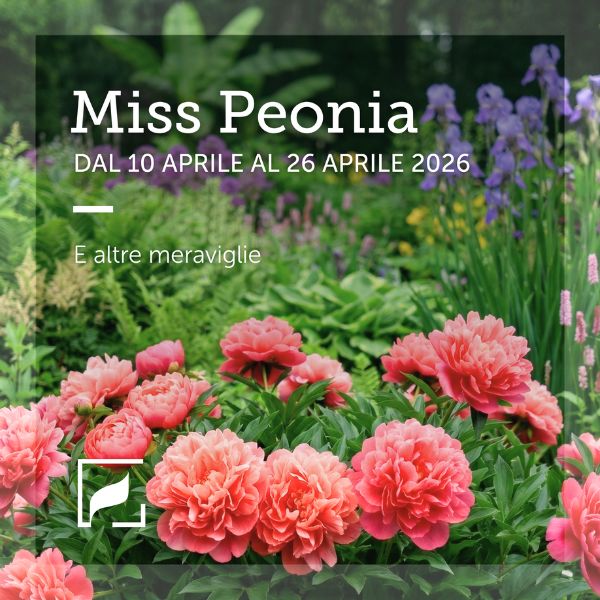 Flora 2000 Banner quadrato Istituzionale